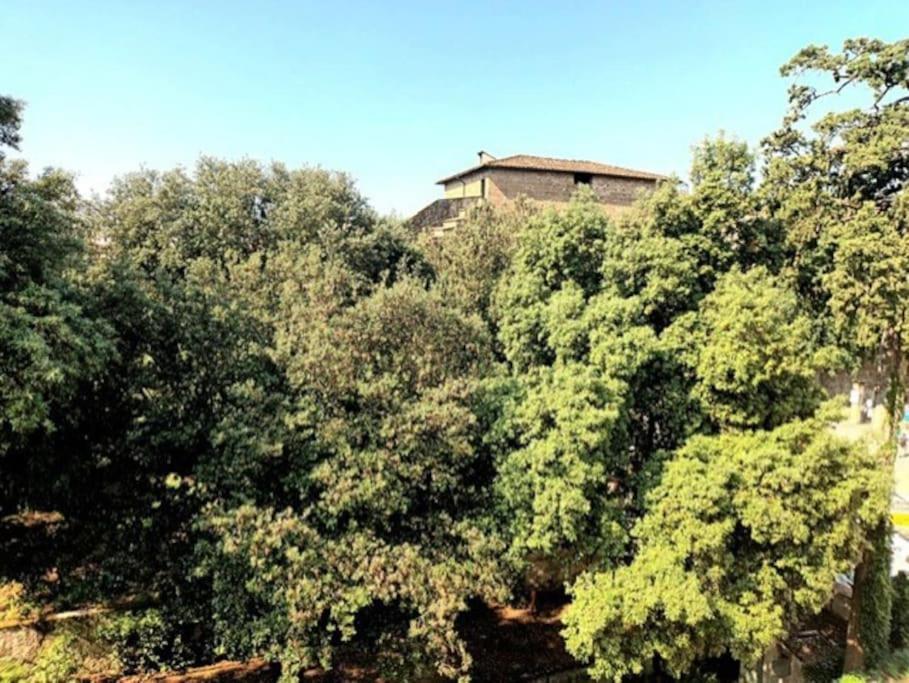 * * * * * Casa Vista Boboli Nel Cuore Di Firenze מראה חיצוני תמונה