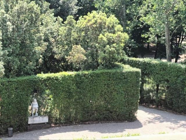 * * * * * Casa Vista Boboli Nel Cuore Di Firenze מראה חיצוני תמונה